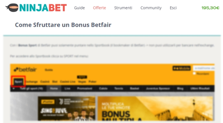 bonus-betfair-ninjabet-matched-betting-scommesse-online-domande-piu-comuni